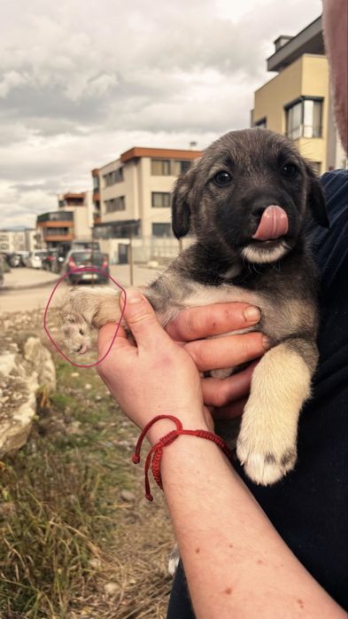 Подарява се бебе момиче