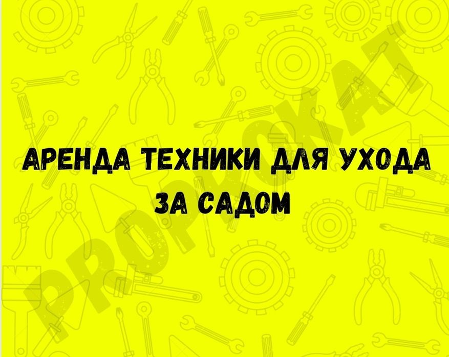Аренда прокат триммер газонокосилка кусторез воздуходувка. Аренда инст