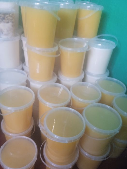 продам мёд со своей пасеки