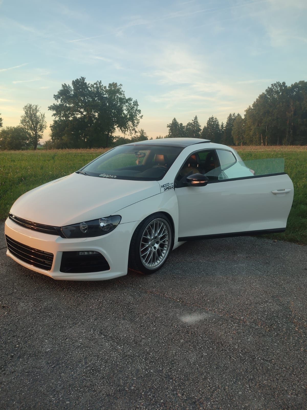 Închirieri auto/rent car