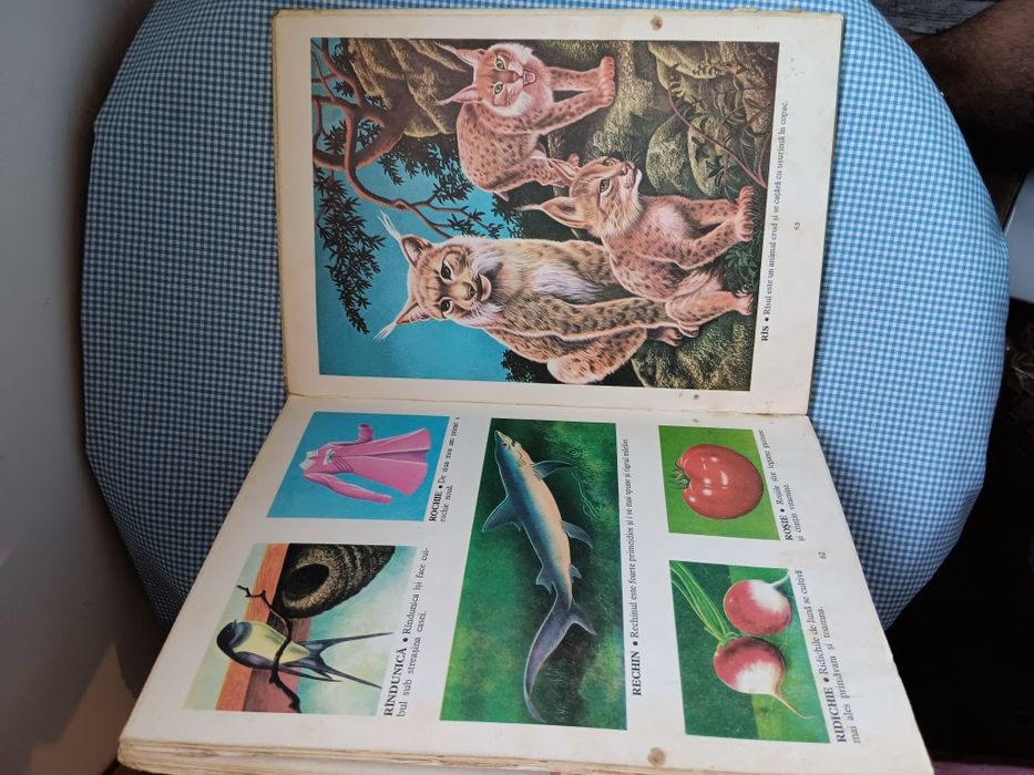 Carte Primul meu dictionar, Albin Stanescu, copii  perioada comunista