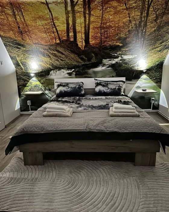 Cabana de închiriat cu piscină încălzită și ciubăr cu jacuzzi