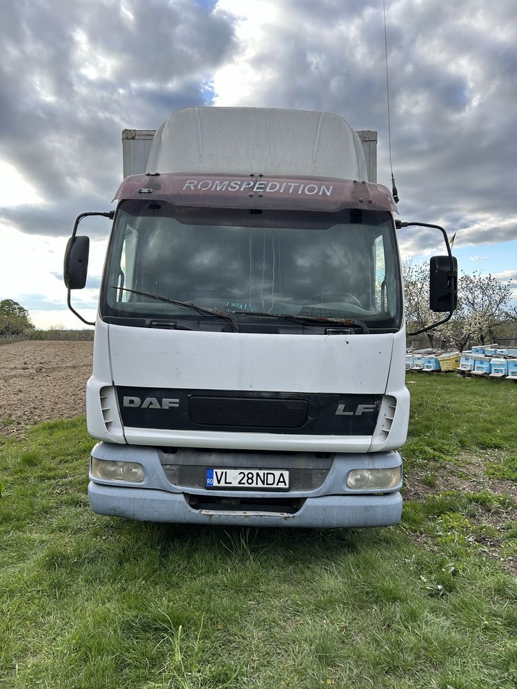 Vand camion Daf special (stupina)