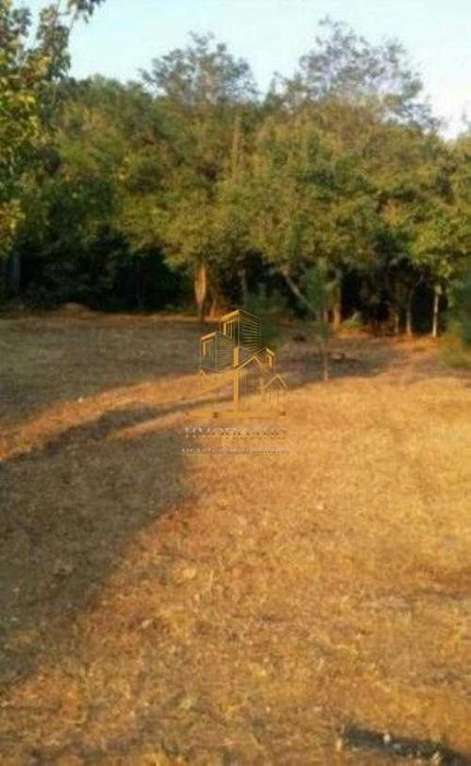 Парцел – м-т Акчелар, Област Варна (Обява N:866391)