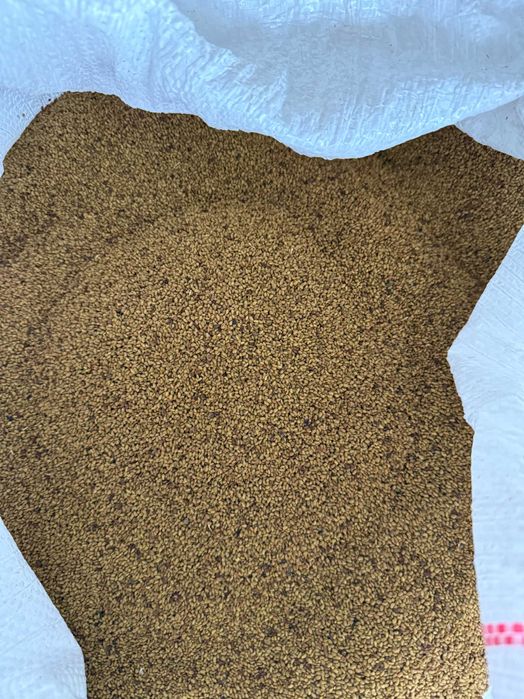 семе ЛЮЦЕРНА- сорт-САТО