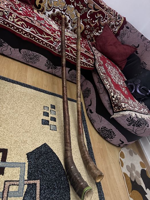 Vand bucium traditional din cires si platin invelit in coaja