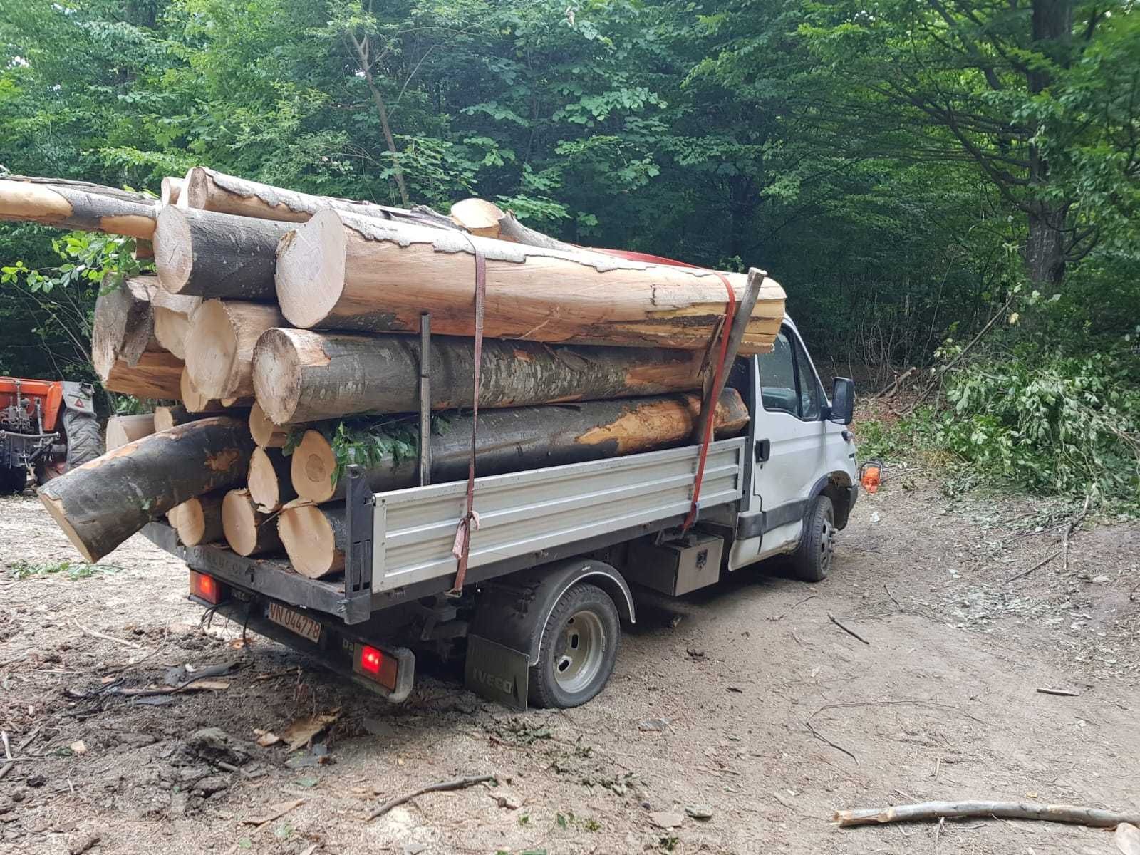 Lemne de foc uscate si taiate, salcam si fag, transport Galati-Braila