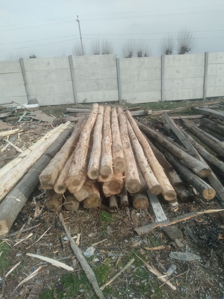 Tusin strapila chorni potolok pilorama xizmat