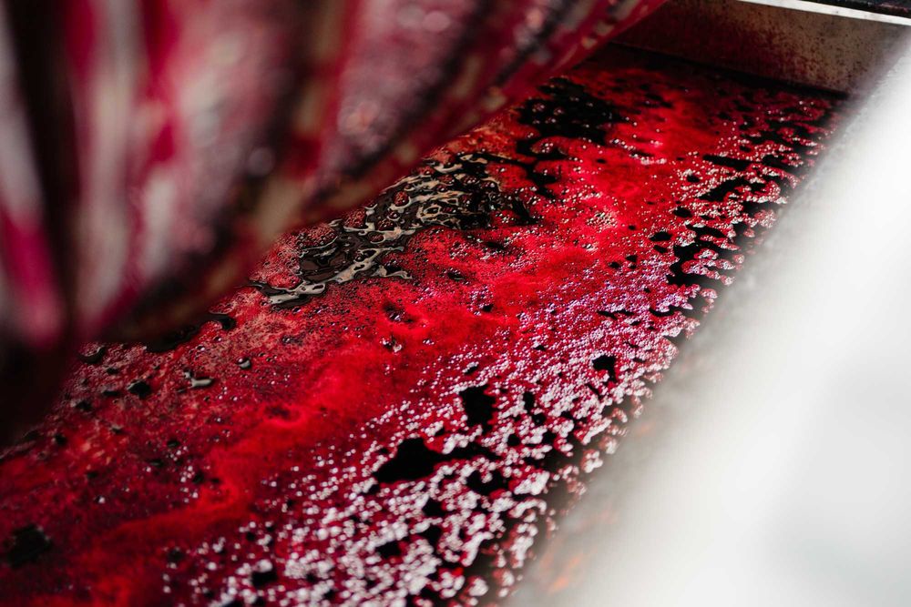 Suc Aronia  Ecologic Angro direct de la producător