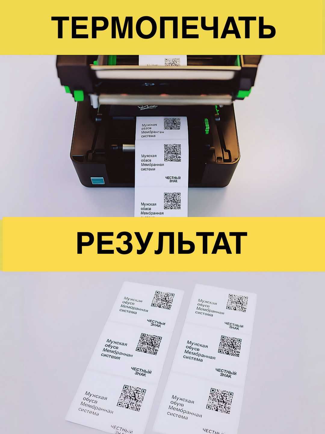 Термотрансферный принтер TSC TE200. Выпускник. Лента для выпускников