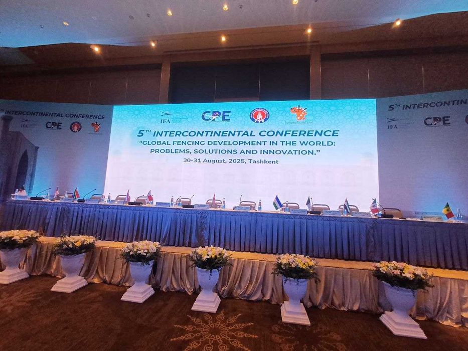 Led ekran arenda qulay narxlarda