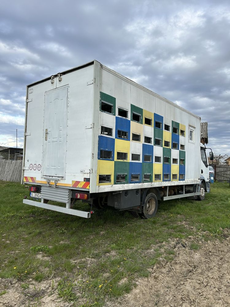 Vand camion Daf special (stupina)