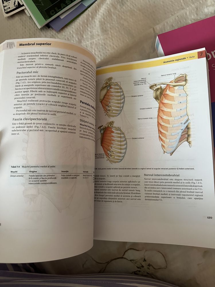 Anatomia lui Gray pentru studenti