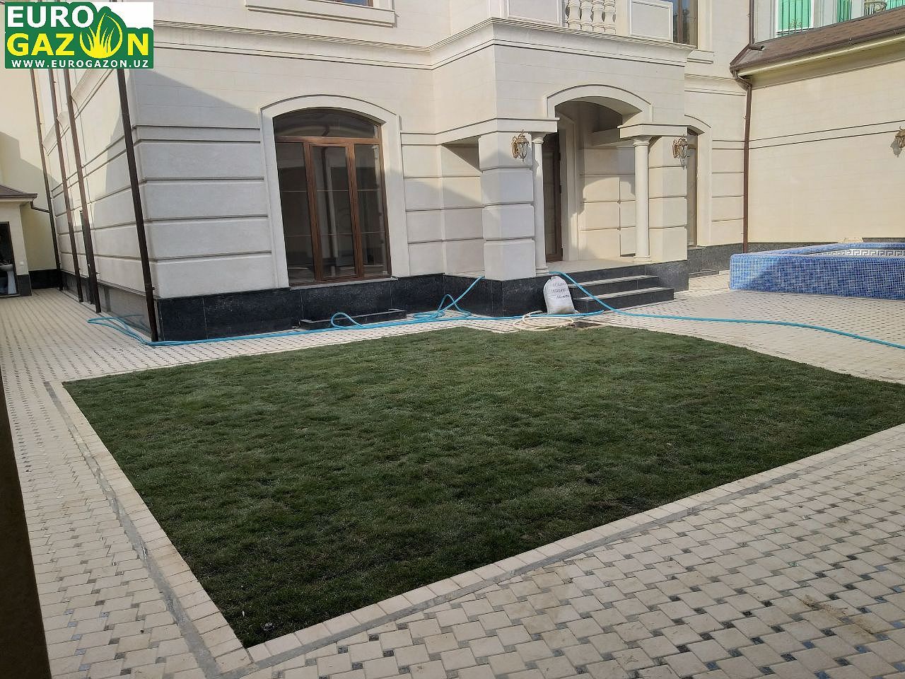 Установка живого газона в Ташкенте от официального дилера Eurogazon