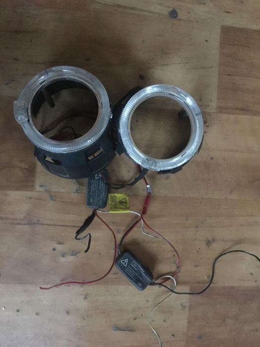 Продам ангельские глазки