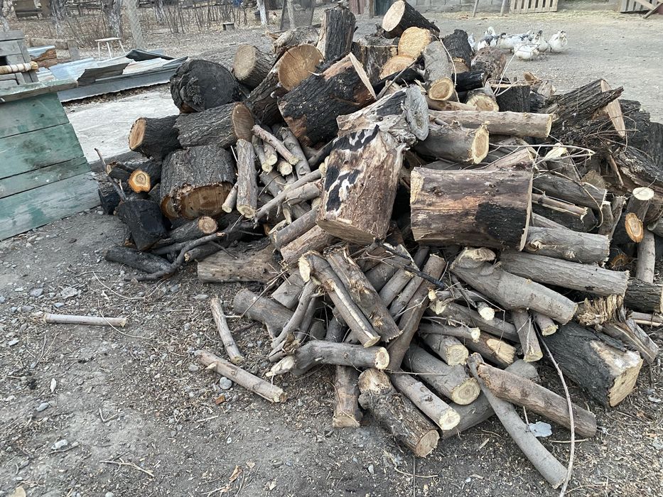 Дрова Отын Дрова