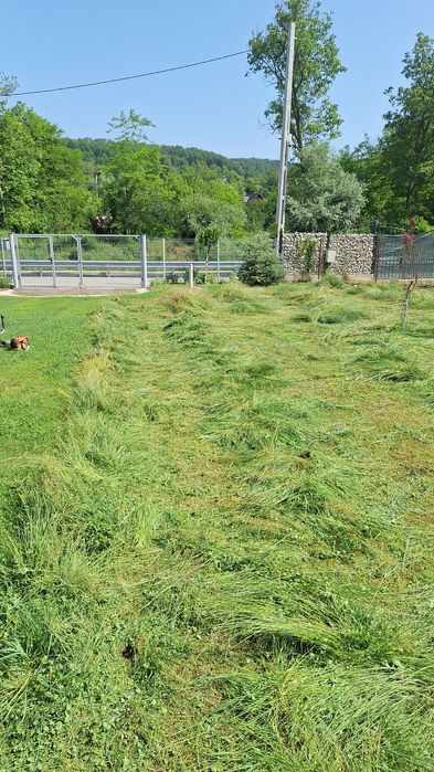 Cosesc iarba  defrisej cu motocoasa profesionala