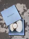 Skagen Ceas Signatur SKW2693 Auriu