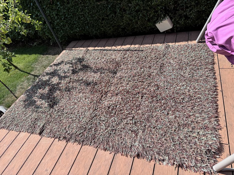 Килим Stepevi 200х290