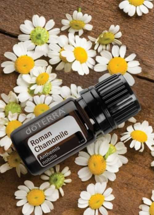 Roman Camomile - ulei esential de musetel doterra 5ml
