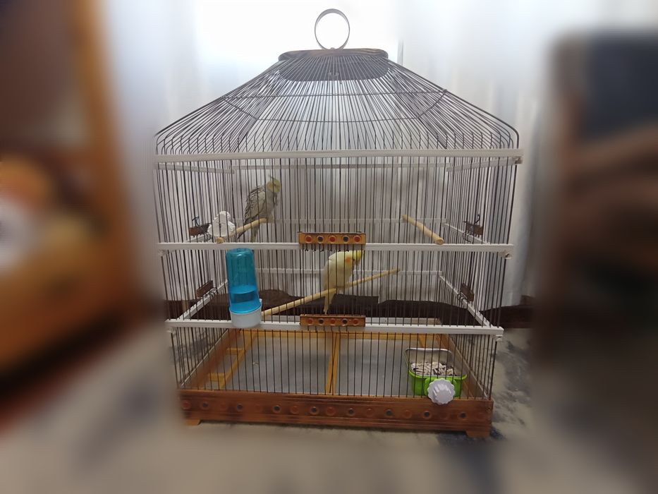 Продается клетка