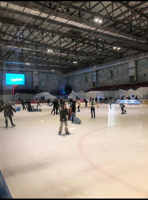 Продается Ледовый каток Frozen Lake