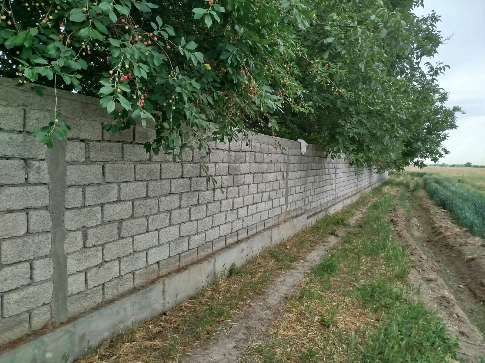 Янги Тошкент участок с времянкой