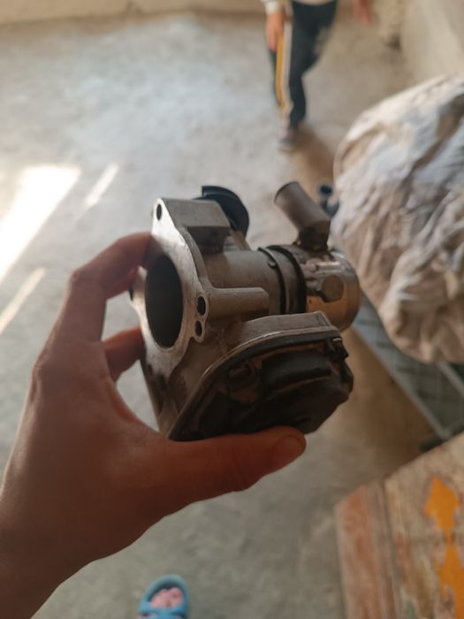 Zaslonkava Viltinator