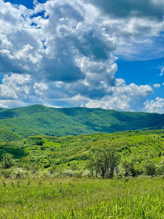 Terenuri extravilane de vânzare – Cozieni, jud. Buzău