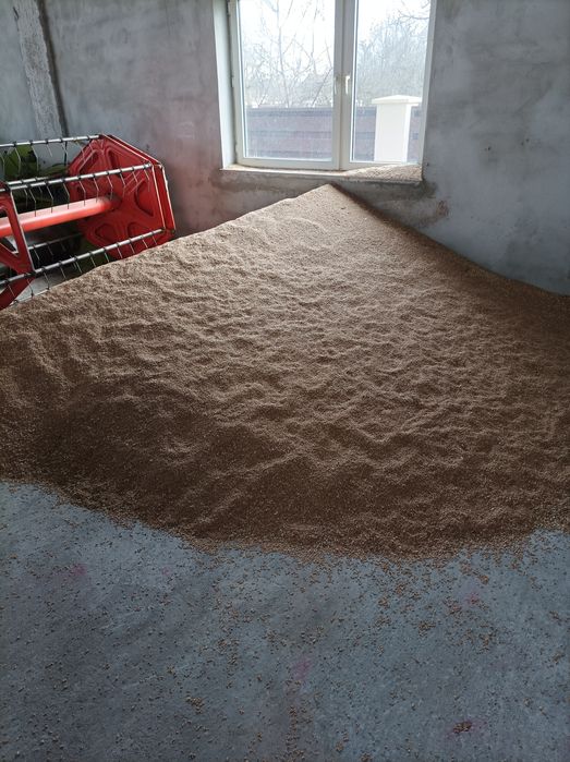 Grau de vanzare recolta  2025