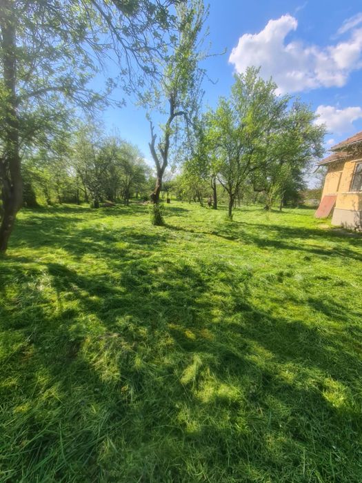 Lucrari de defrisat, cosit intretinere, constructie garduri, excavari