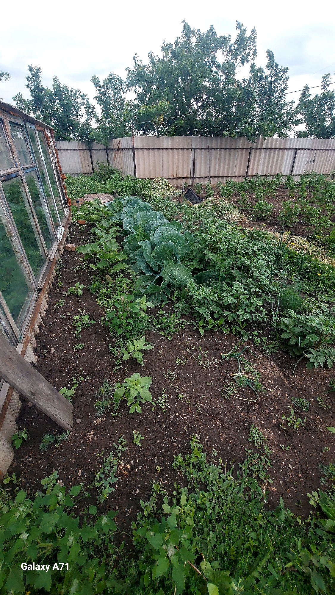 Продам дом  пос.Курьяновка