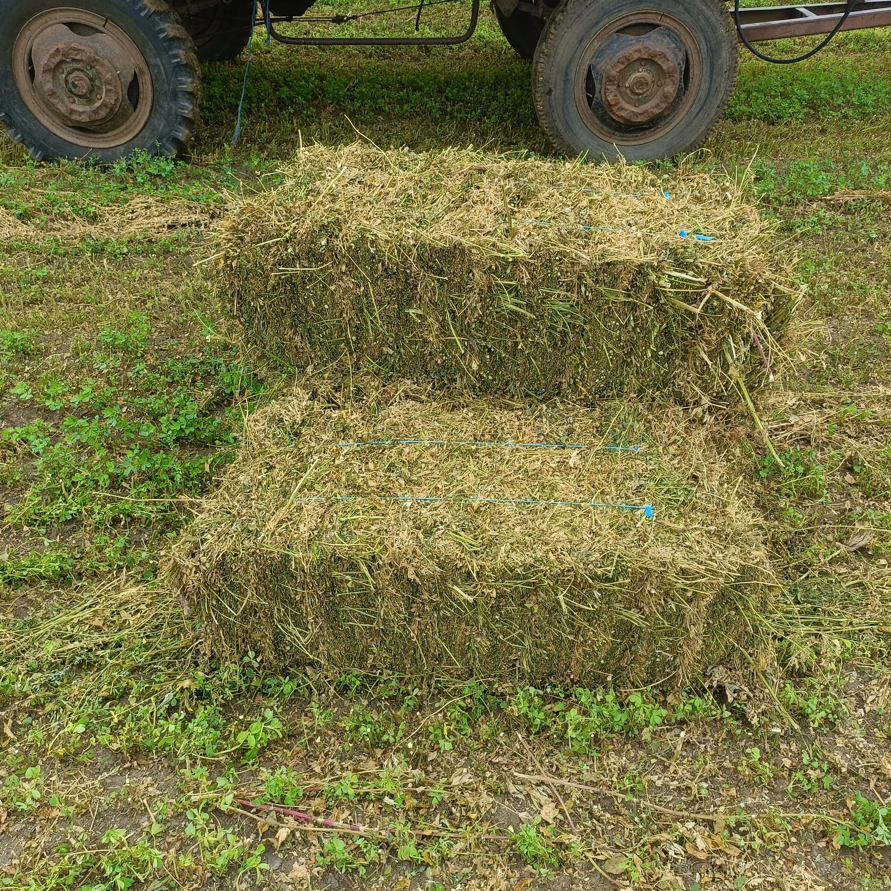 Vând 1000 baloți