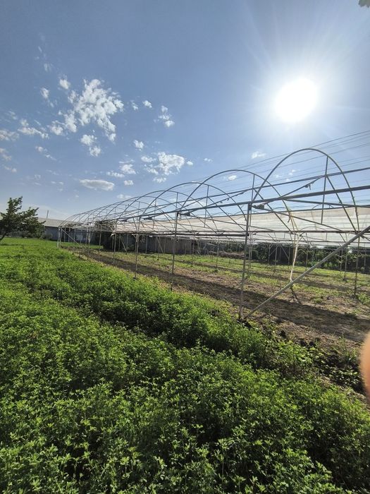 Иссикхона ва катёл сотилади