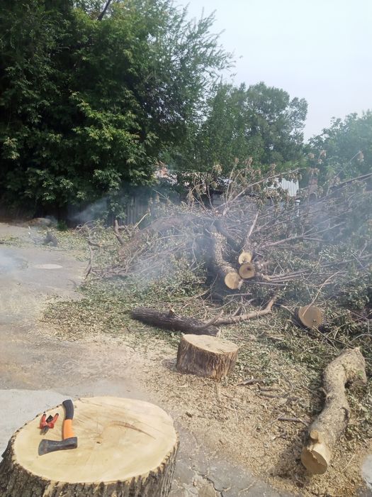 Продам дрова ясень