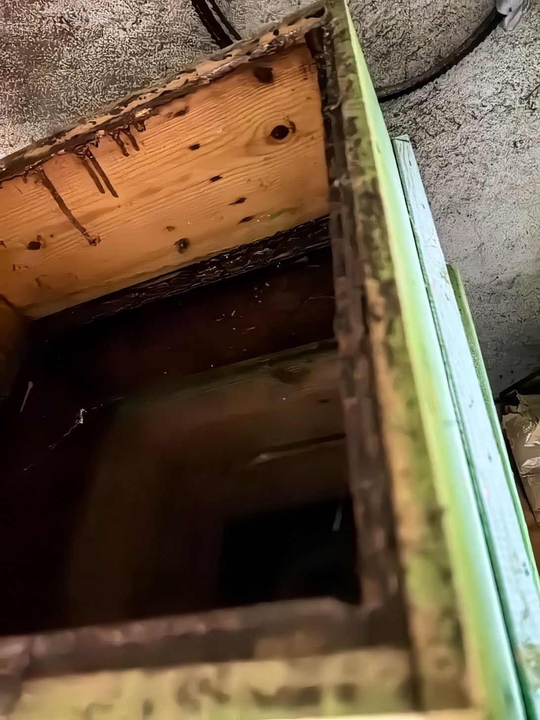 Магазини за кошери 12 рамки