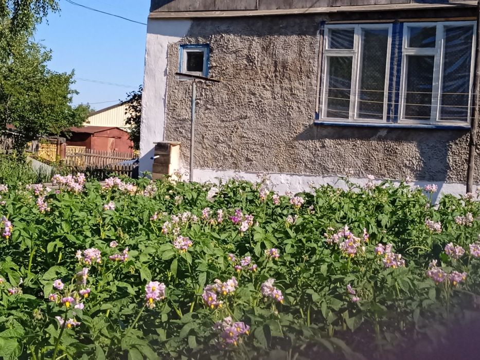 сдам в аренду дом