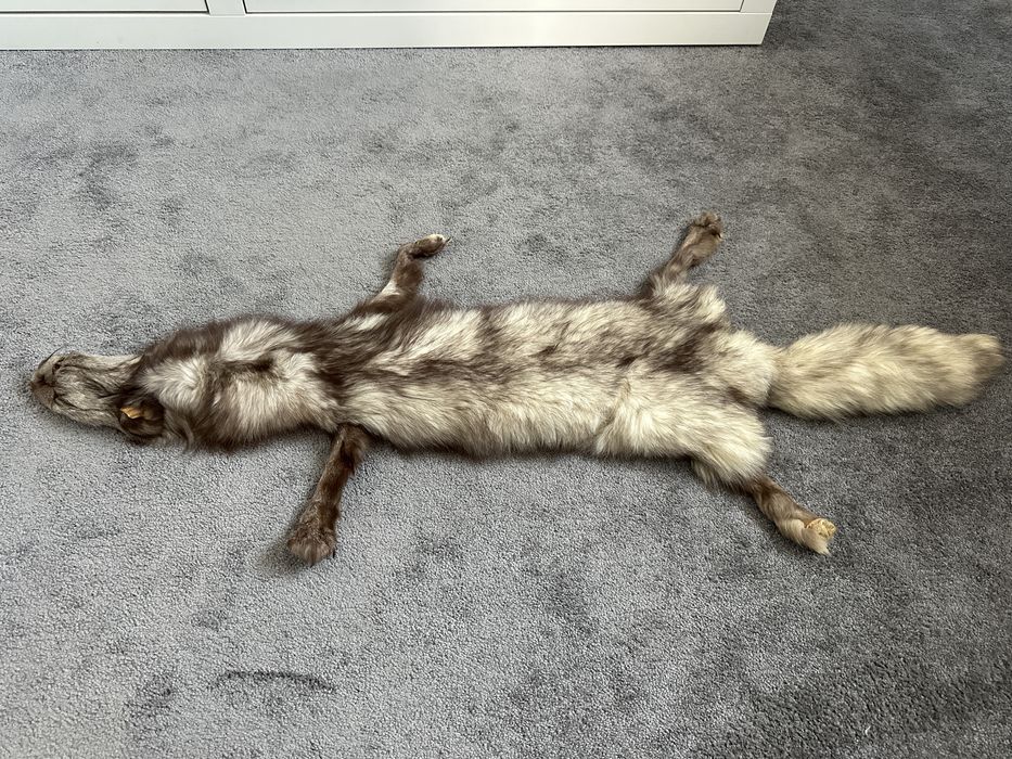 Blana vulpe argintie