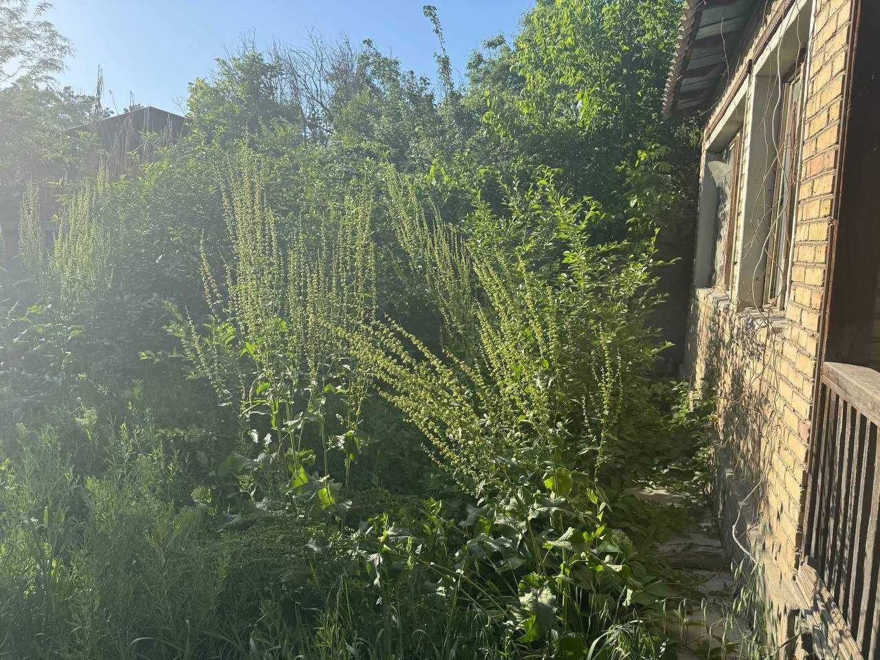 Продается своя дача