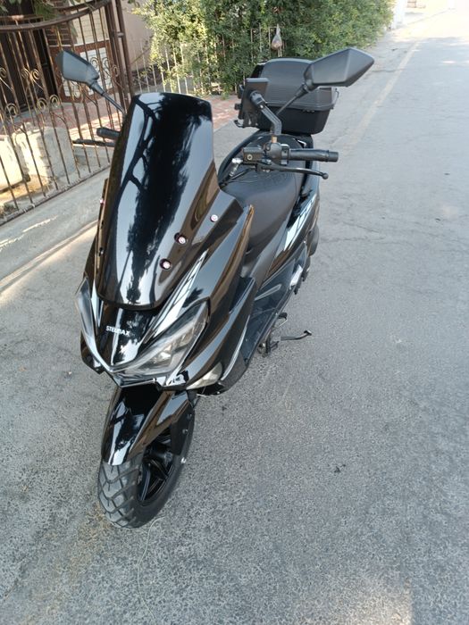 Skuter tiger chorni pantera