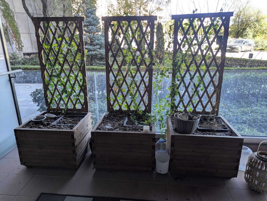 Дървени кашпи за цветя с шпалир