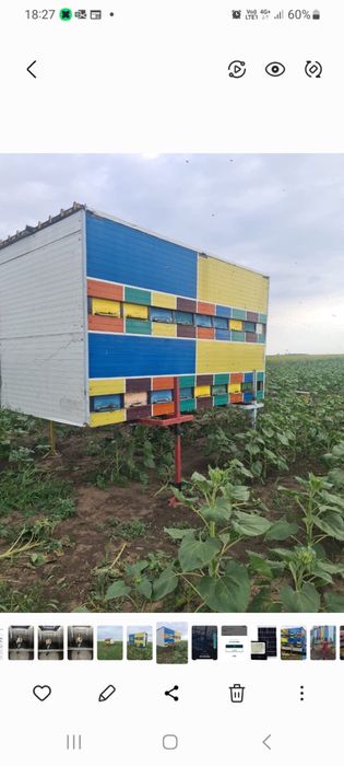 Vand doua module apicole