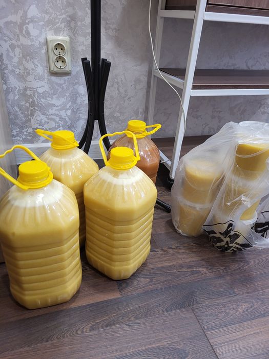 Бал сатамыз .Мёд сатылады Катон Қарағайдың балы.