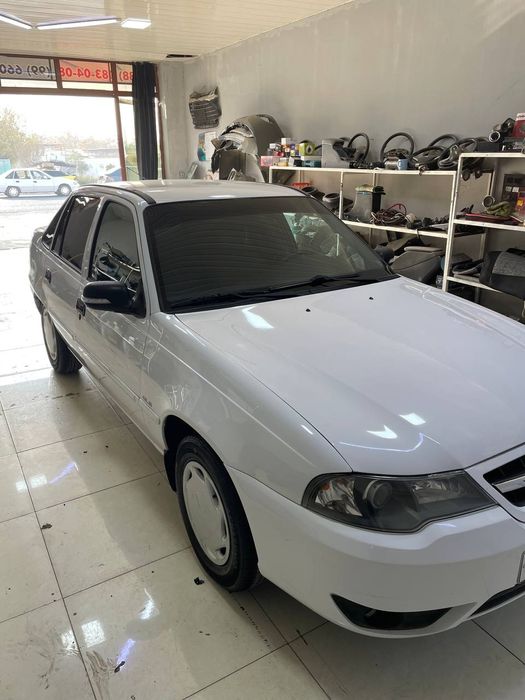 Nexia legaenda xolati zur