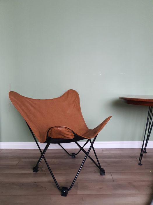 Кресло The Butterfly chair