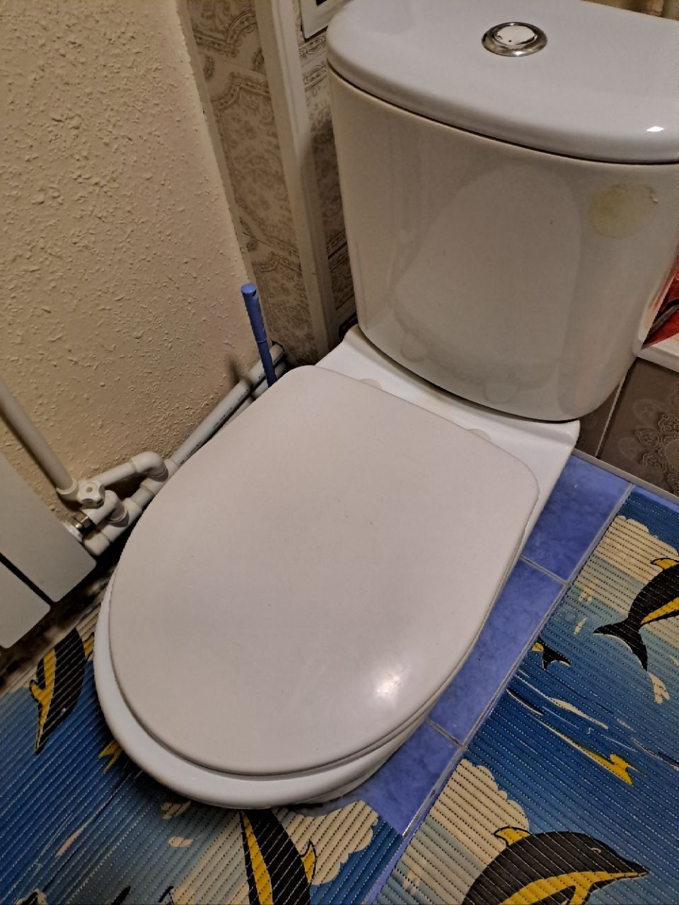 Унитаз, туалет в хорошем состоянии