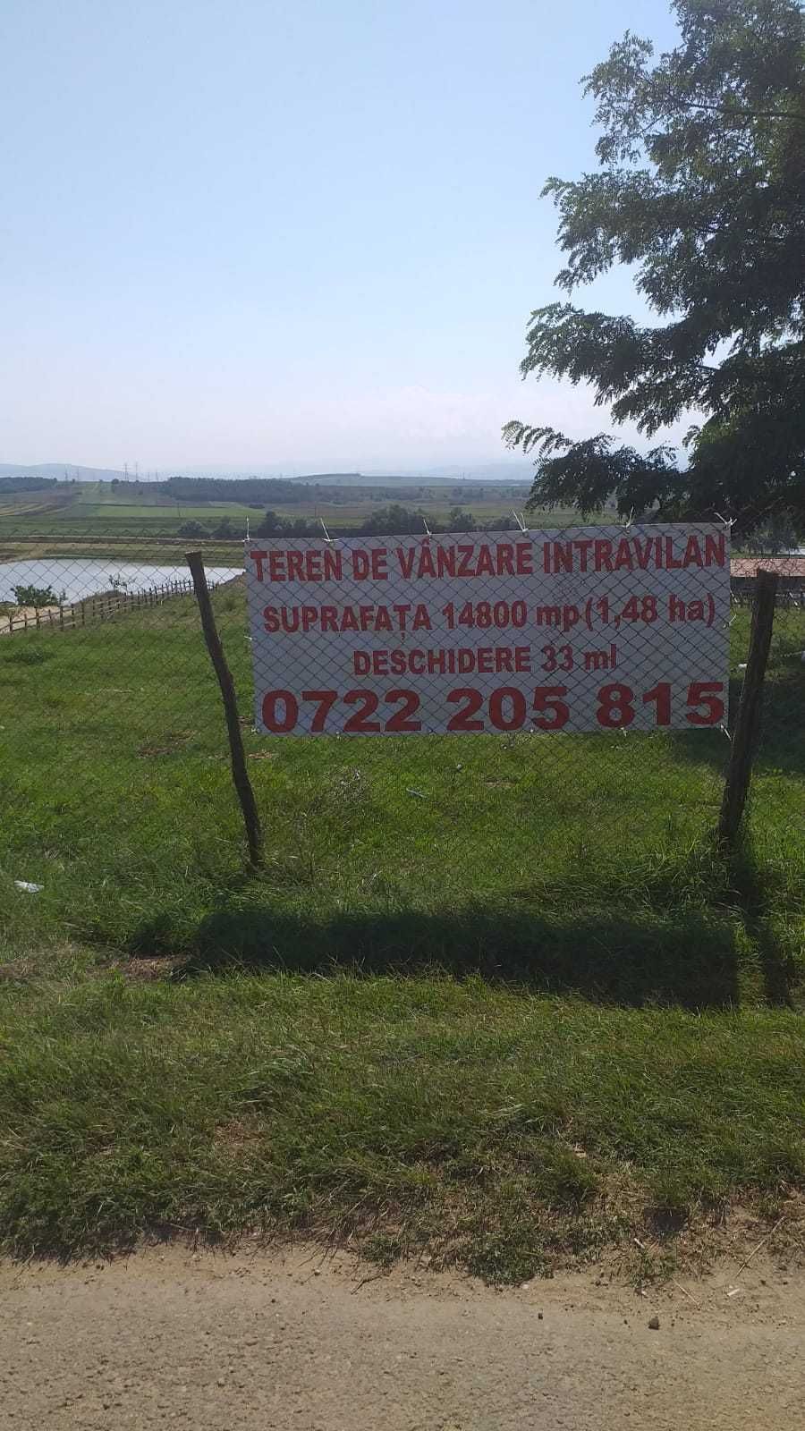 Vând 1,48 ha teren intravilan Vintu de Jos