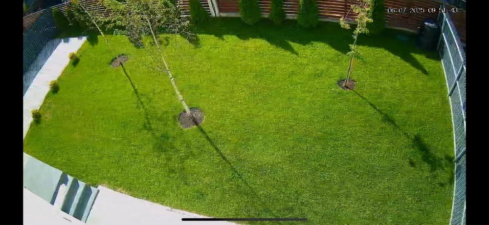 Tundem iarba, gazon, gard viu, tuia, buruieni, bălării, defrișam!