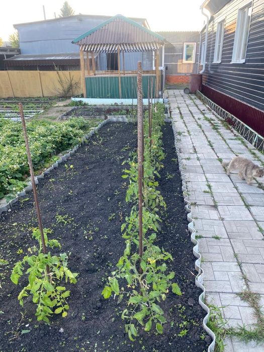 Продам дом в Петерфельде