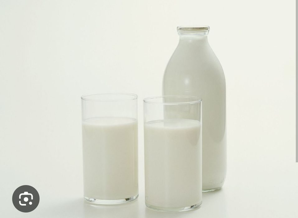 Продам свежий домашний кумыс